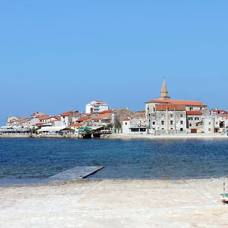7666b Umag
