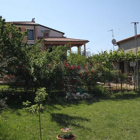 7666b Umag