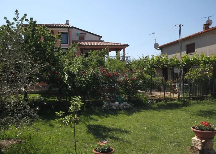 7666b Umag